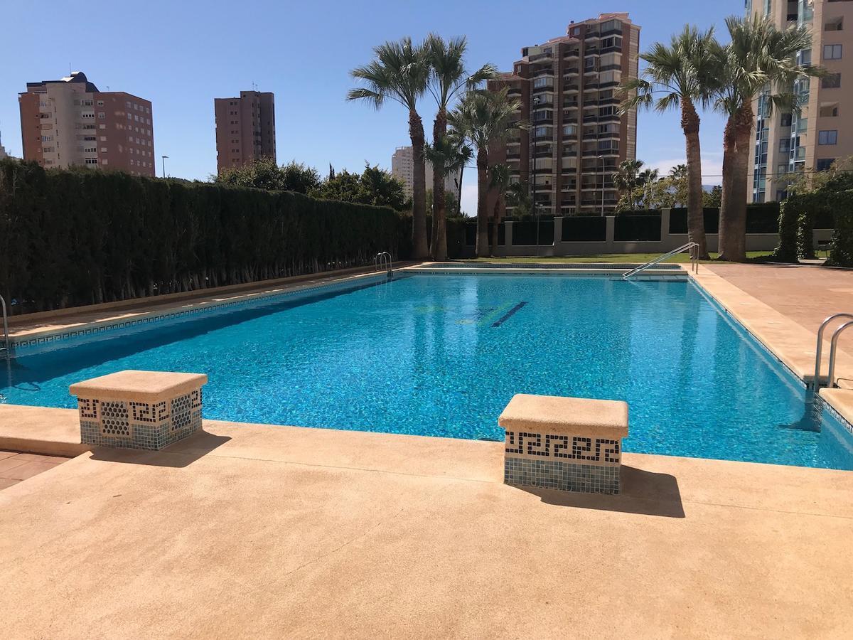 Apartment In Poniente Beach Benidorm Eksteriør billede
